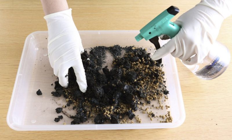 chuẩn bị đất làm kokedama